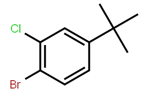 3-氯-4-溴叔丁基苯