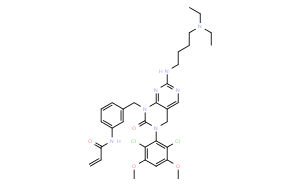 FIIN-1