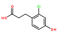 3-（2-氯-4-羟基苯基）丙酸
