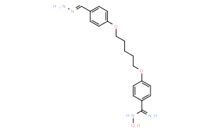 Pentamidine Amidoxime