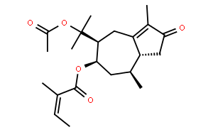 Torilin