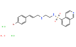 H-89;H89 2HCl