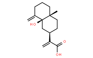 5β-Hydroxycostic acid