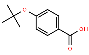 4-叔丁氧基苯甲酸