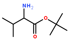 L-缬氨酸叔丁酯盐酸盐