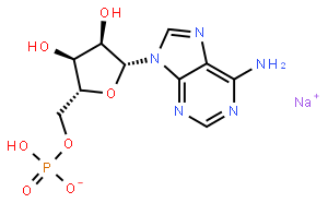 5'-单磷酸腺苷单钠