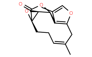 烏藥醚內酯