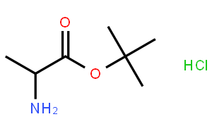 L-Alanine tert-Butyl Ester Hydrochloride