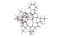 他克莫司相關(guān)物質(zhì)A