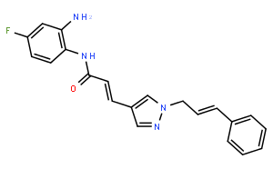 RGFP966