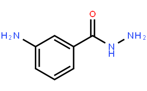 3-氨基苯甲酰肼