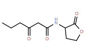 N-(Ketocaproyl)-L-homoserine Lactone