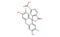 6-Carboxyl-2,7-dichlorodihydrofluorescein
