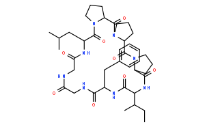 太子參環(huán)肽B