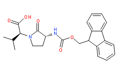 Fmoc-Freidinger′s lactam