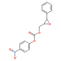 S-NEPC