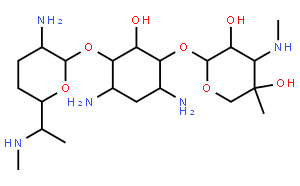 Gentamicin