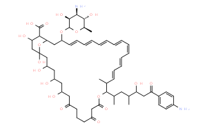 Candicidin