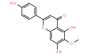 高车前素