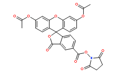 5-Carboxy-fluorescein Diacetate N-Succinimidyl Ester