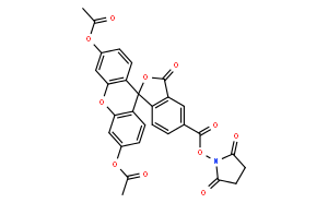 细胞质染色-绿色—CFSE 5(6)-羧基二乙酸荧光素琥珀酰亚胺酯