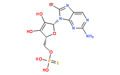 Rp-8-Br-cGMPS