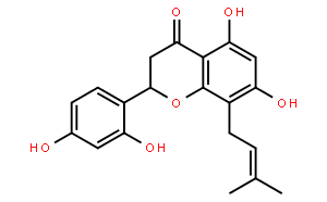Leachianone G