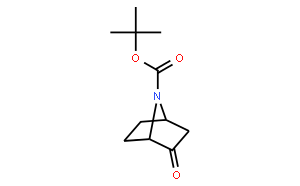 tert-butyl 2-oxo-7-azabicyclo[2.2.1]heptane-7-carboxylate