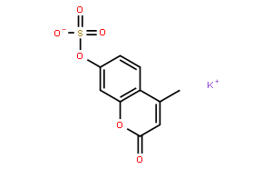 4-MU-sulfate K *1 g* [4-Methylumbelliferyl sulfate, potassium salt]