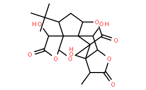 银杏内酯B