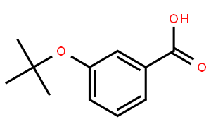 3-叔丁氧基苯甲酸
