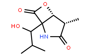 Clasto-lactacystin(Omuralide)
