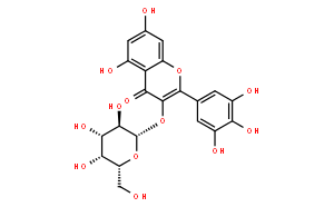 杨梅酮-3-O-半乳糖苷;杨梅素-3-O-半乳糖苷