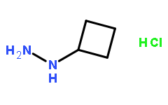1-环丁基肼盐酸盐