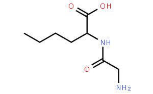 Glycyl-Dl-norleucine