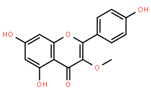 异山柰素