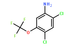 Benzenamine, 2,​4-​dichloro-​5-​(trifluoromethoxy)​-