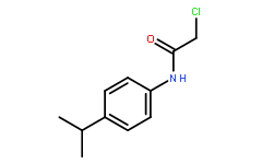 2-氯-N-(4-异丙基苯基)乙酰胺