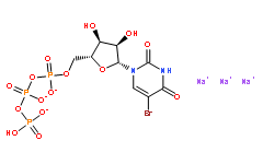 5-溴尿嘧啶核苷 5′-三磷酸盐 钠盐