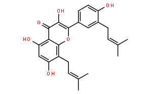 楮树黄酮醇F