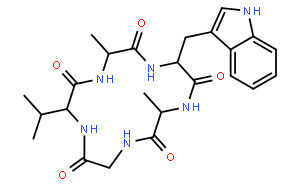 王不留行环肽B