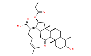11-Keto Fusidic Acid