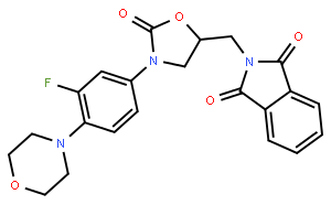 Deacetamide Linezolid Phthalimide
