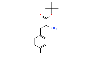 L-Tyrosine tert-Butyl Ester