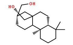 對映-貝殼杉-16Β,17-二醇