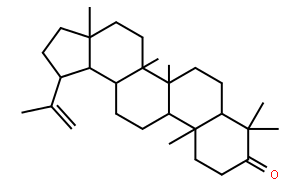 羽扇烯酮