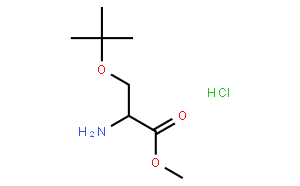 O-tert-Butyl-L-serine Methyl Ester Hydrochloride