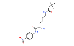 H-Lys(boc)-pna