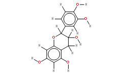 (+-)-表兒茶素