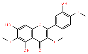 矢车菊黄素